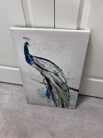 'Casa Can Peacock' Wall Art- Bouclair