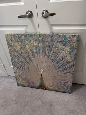 Linda Omelianchuk - Peacock Framed Wall Art