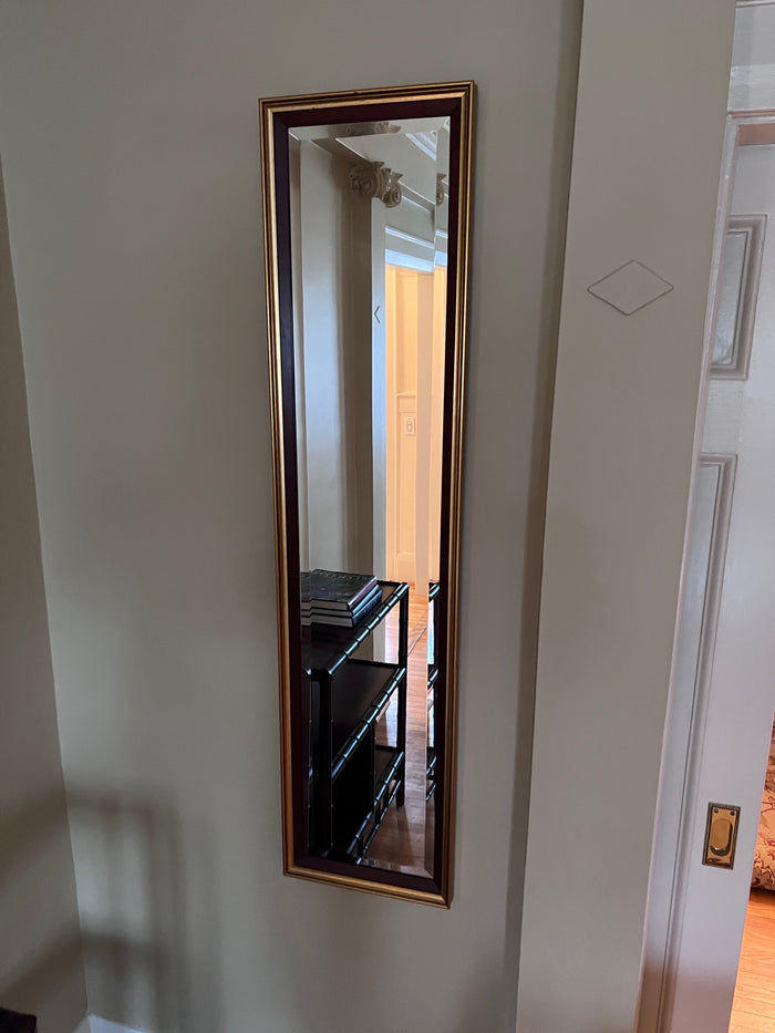 Pair of Long Mirrors