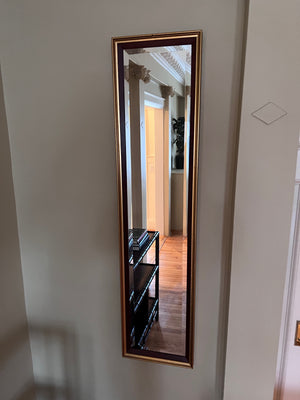 Pair of Long Mirrors