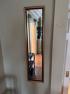 Pair of Long Mirrors