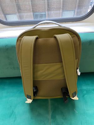Away The Zip Backpack in Green (BRAND NEW)