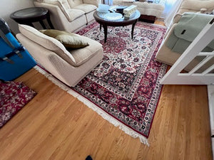 100% Wool Indian Area Rug # 2- 8 x 10ft