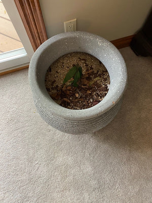 Art Deco Ceramic/Pottery Planter
