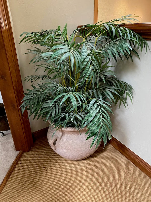 Ceramic/Pottery Planter + Indoor Plant