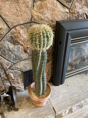 Artificial Cactus Plant Lot