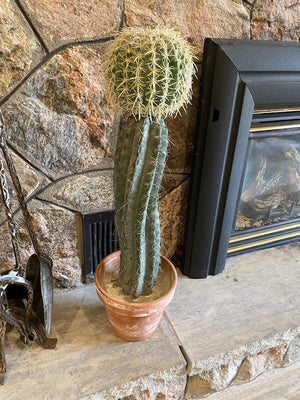 Artificial Cactus Plant Lot
