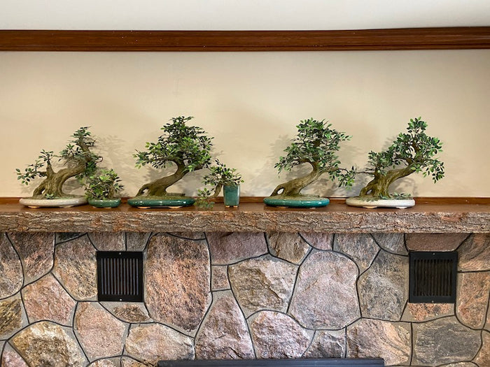 Artificial Bonsai Tree Lot