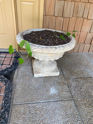 2 Outdoor Concrete Urn Planters