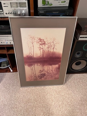 Trees at Lake Signed Print by Jack Terry