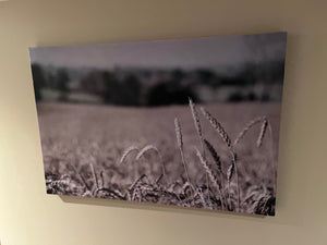 Wheat Field Wall Art from Bouclair