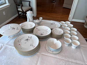 1950s Raymond Loewy Quince Pattern Dinnerware Set by Rosenthal Germany