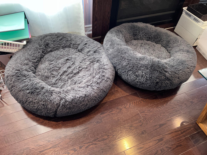 2 Dog Beds