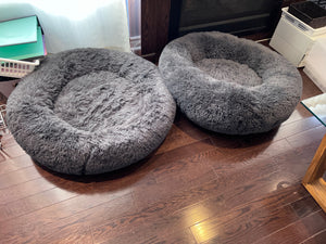 2 Dog Beds