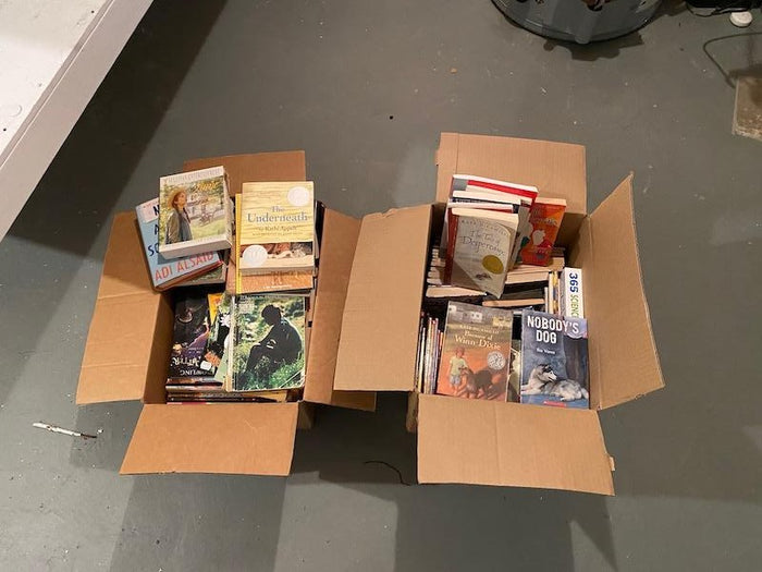 2 Full Boxes of Children's Books