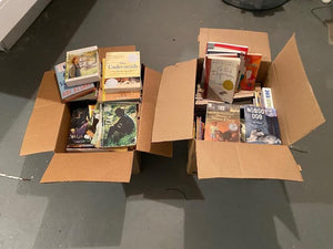 2 Full Boxes of Children's Books