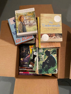 2 Full Boxes of Children's Books