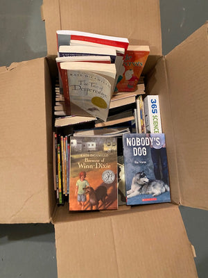 2 Full Boxes of Children's Books