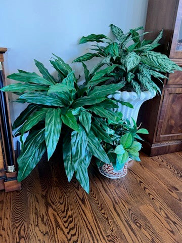 Faux Plant and Planter Lot