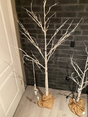Artificial Indoor Light Up Birch Tree Lot