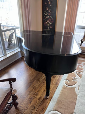 Heitzman Black Baby Grand Piano