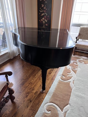 Heitzman Black Baby Grand Piano