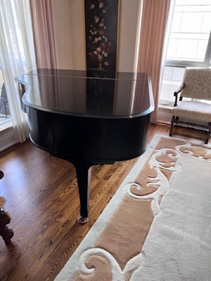 Heitzman Black Baby Grand Piano