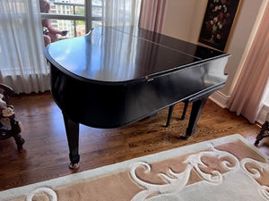Heitzman Black Baby Grand Piano