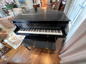 Heitzman Black Baby Grand Piano