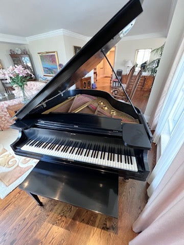Heitzman Black Baby Grand Piano