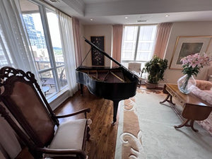 Heitzman Black Baby Grand Piano