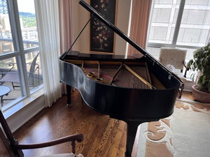Heitzman Black Baby Grand Piano