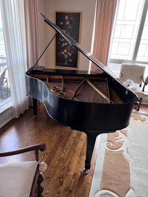Heitzman Black Baby Grand Piano