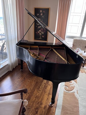 Heitzman Black Baby Grand Piano