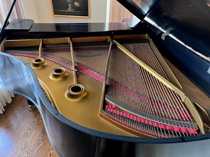 Heitzman Black Baby Grand Piano