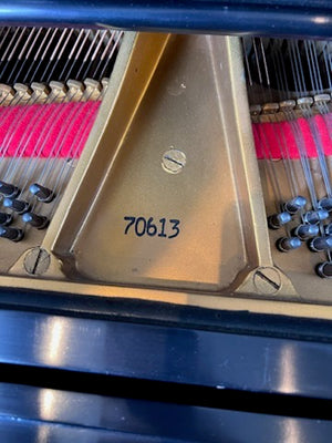 Heitzman Black Baby Grand Piano