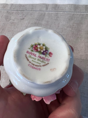 Royal Albert Bone China- Flower of the Month Series- Cosmos