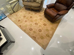 Area Rug