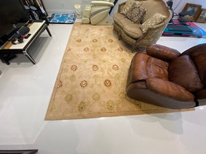 Area Rug