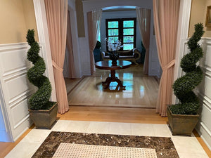 2 Indoor Artificial Spiral Trees