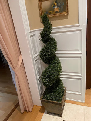2 Indoor Artificial Spiral Trees