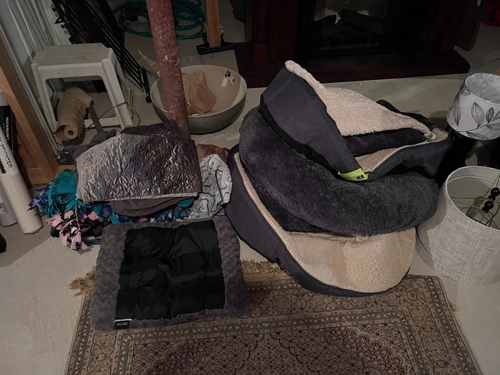 Dog Beds & Blankets Lot