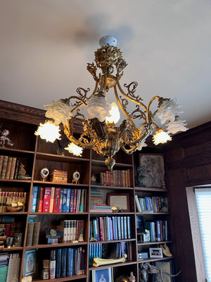 Ornate Brass Light Fixture