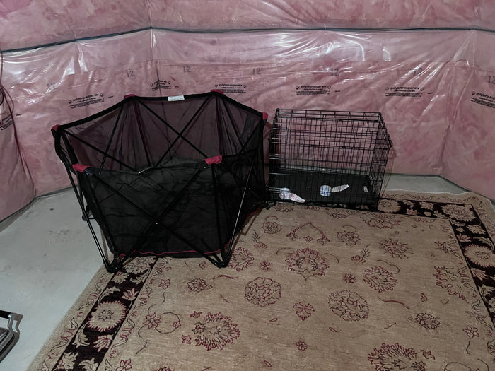 Dog Crate + Beach Pen