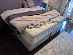 Serta Perfect Sleeper Casares Euro Top Mattress + Box Spring Frame