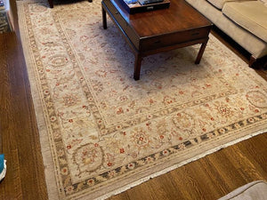100% Wool Beige Rug from ELTE- 8ft x 10ft