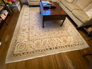 100% Wool Beige Rug from ELTE- 8ft x 10ft