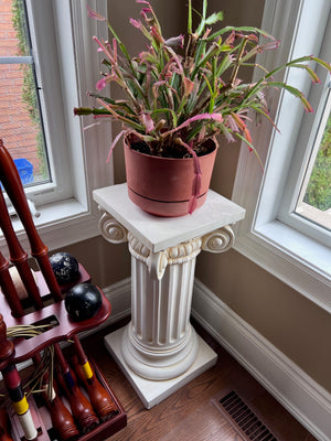 Plant Stand