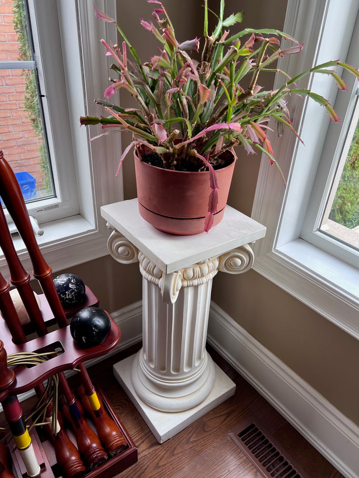 Plant Stand