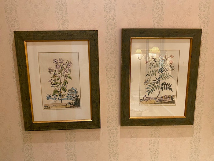 Pair of Botanical Prints